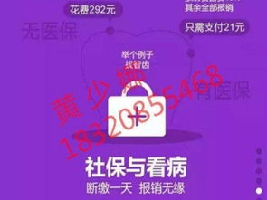 圖 布吉社保代買續(xù)交,羅湖實(shí)體公司有意者咨詢 深圳學(xué)歷教育